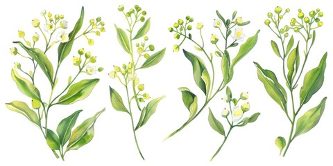 Poster - Colorful flowers arranged neatly on a white background. Perfect for floral designs