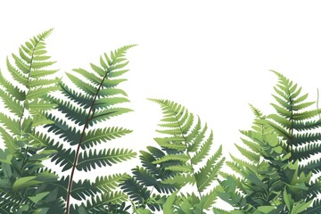 Poster - group of green leaves on a white background, suitable for botanical or nature themed designs