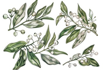 Poster - A bunch of leaves and berries on a branch. Suitable for nature and autumn-themed designs