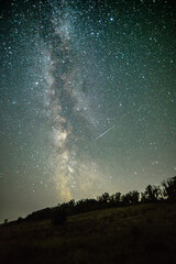 Wall Mural - Night sky in forest . Beautiful summer night . Space over the forest and trees . Milky Way on the background . 