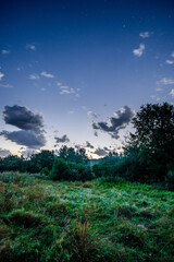 Wall Mural - Night sky in forest . Beautiful summer night . Space over the forest and trees . Milky Way on the background . 