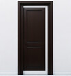 © CaptureCollabStudios - Modern dark wooden door in a bright interior