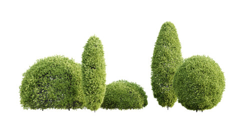 Aufkleber - Trimmed thuja shrubs isolated on transparent background. Realistic 3D render.