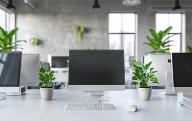 Modern office space with computers, bright workspace, and potted plants.