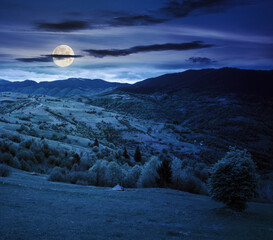 Wall Mural - rural mountain landscape in spring at night. grass and trees on the hills rolling through the green valley in to the distant ridge beneath a cloudy sky in full moon light