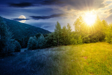 Wall Mural - scenery with trees on the hill in summer solstice. beautiful mountain landscape with sun and moon at