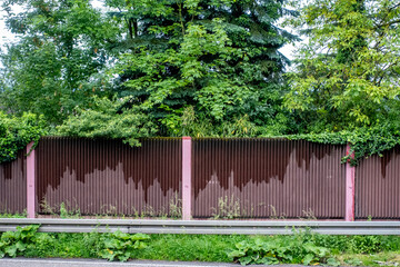 Wall Mural - Feuchte Lärmschutzwand