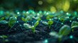 © Tackey - Close-up of young plant sprouts connected by a digital network, symbolizing modern agriculture and technology integration.