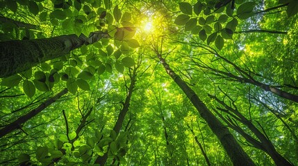 Close-up of dense forest canopy, vibrant green leaves, sunlight filtering through, rich in detail