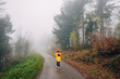 © EdNurg - Alone in the misty forest, a young woman hikes along a foggy walkway, embracing the autumn adventure amidst yellowing trees in the national park.