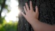 © maxximmm - hand touches a tree in a forest park. travel nature protection adventure concept. a child's hand strokes a tree in a green forest lifestyle
