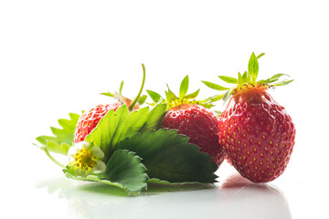 Wall Mural - red ripe strawberry spring on a white background