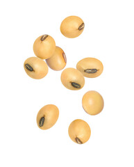 Sticker - Soybeans on a white background