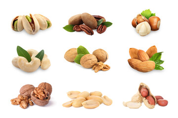 Sticker - Many different nuts isolated on white, set