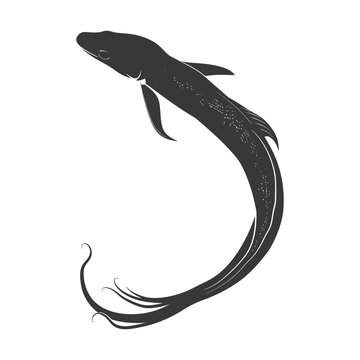 Silhouette eel animal black color only