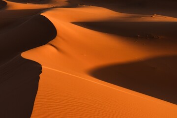 Sticker - view of the sand dunes at Erg Chebbi in Morocco in warm evening light