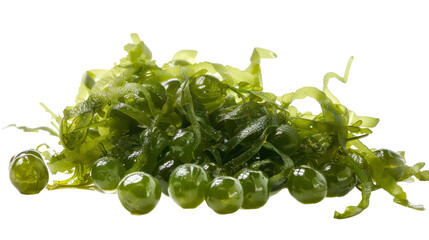 A pile of vibrant green seaweed is neatly stacked on a clean white background, showcasing the natural textures and colors of the aquatic plant