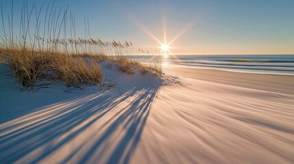The early morning sun rising over a calm beach, casting shadows of dune grass on the sandy shore, with the peaceful sound of small waves in the background.