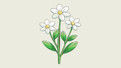 Fototapete - With slender graceful stems adorned with delicate white flowers this plant resembles a small bouquet. The flowers have five creamy petals with a soft. Cartoon Vector.