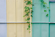 © Jeongho Byeon/Stocksy - Yellow and mint painted steel wall and green vines.