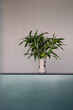 © Jeremiah Le/Stocksy - Minimalism vase of leaves on reception bar