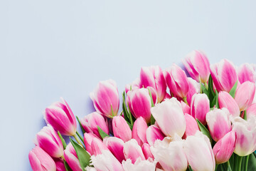 Wall Mural - Bouquet of pink tulips on light blue background. Greeting card