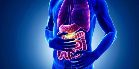 Detailed anatomical illustration of the human digestive system in vivid colors, highlighting the stomach and intestines within a blue body silhouette.