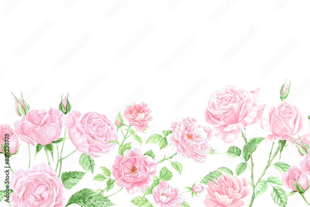 watercolor pink roses border, pastel color palette, white background ...