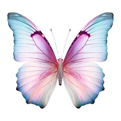 Wall Mural - pink blue butterfly isolated on transparent background cutout