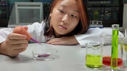Wall Mural - girl scientist loads liquid sample into petri dish with plastic pipette. education and science conce