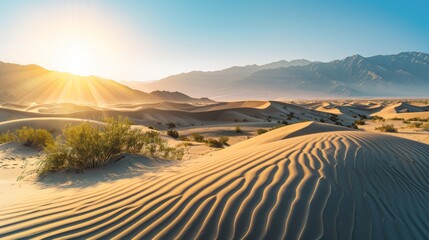 Wall Mural - Golden Sand Dunes in a Desert Landscape