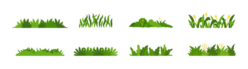bush grassss2