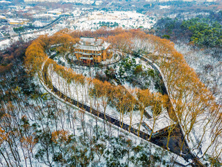 Wall Mural - A modern Chinese building surrounded by trees in Nanjing, China, in winter (A local tourist attraction)