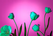 © Tatyana Lavrova/Stocksy - Vivid turquoise colored tulips in neon light against pink background.