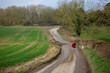 © Helen Rushbrook/Stocksy - A country lane with an anonymous woman walking a dog