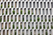 © Heng Yu/Stocksy - Modern Building Facade with Greenery