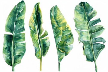 Canvas Print - set of watercolor banana leaves tropical border for wallpaper botanical illustration