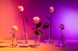© Tatyana Lavrova/Stocksy - Elegant roses in glass vases on soft yellow purple gradient background
