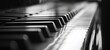 © Alexander LW - Close-up still life detail profile view of a piano keyboard black and white keys, interior