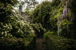 © Melissa Milis Photography/Stocksy - House hidden by luscious vegetation