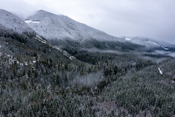 Wall Mural - Snow-covered mountain valley near Port Renfrew, Vancouver Island, British Columbia, Canada