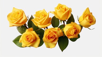 Poster - AI generated illustration of yellow roses on a white background