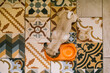 © Nata Segueza/Stocksy - Puppy Eating From Orange Bowl on Patterned Floor