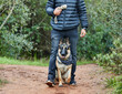 © peopleimages.com - German shepherd, dog and service animal with rope for training, scent tracking or listening to trainer. Outdoors, hiking trail and pet sitting for command, teaching behavior or obedience in forest
