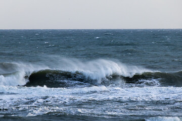 Canvas Print - Ocean waves near the shore