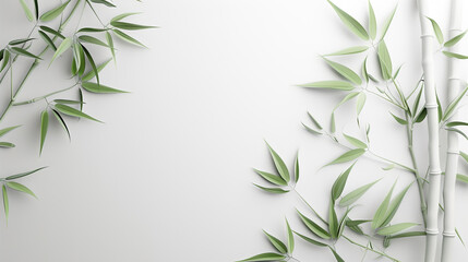 Wall Mural - abstract white bamboo wall background space your text. stalk, branch and bamboo leaves. Nature backdrop white design