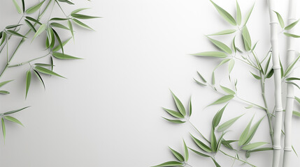 Poster - abstract white bamboo wall background space your text. stalk, branch and bamboo leaves. Nature backdrop white design