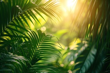 Aufkleber - Lush tropical foliage bathed in warm sunlight