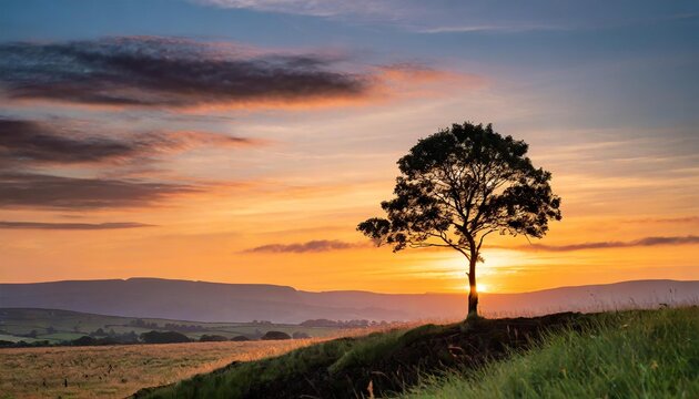 A solitary tree standing tall against the backdrop of a vibrant sunset, following the rule of thirds.