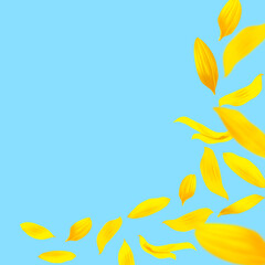 Sticker - Sunflower petals in air on light blue background